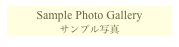 Sample Photo Gallery
サンプル写真